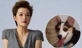 袁立爆料小号视频是真的吗